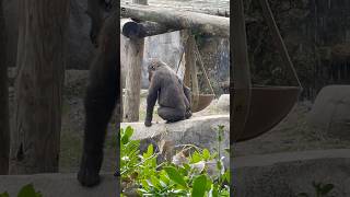 Watch Closely Its The Old Pick And Sniff Fingers