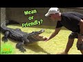 Gator boys paul  seven the alligator at everglades holiday park