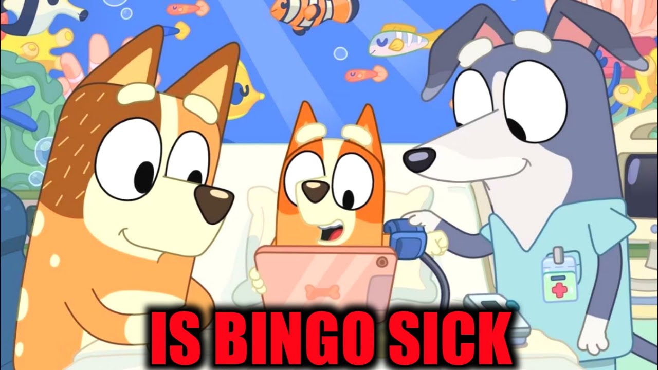 Is Bingo Sick?