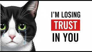 5 Mistakes That Make Your Cat Lose Trust In You (Most Owners Do #3)