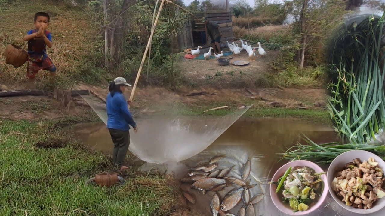 28 กุมภาพันธ์ ค.ศ. 2026