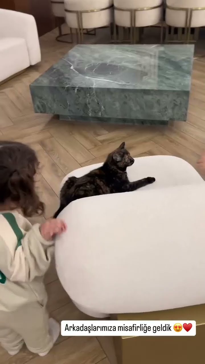 Arkadaşlarımıza misafirliğe geldik ?