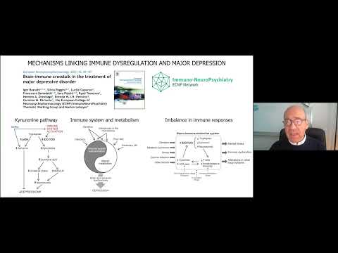 Mechanistic research in immunopsychiatry: state of the art and future goals