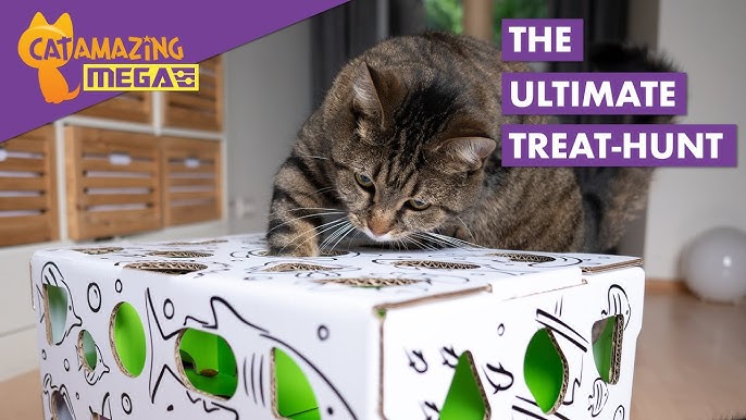 Sliders: Ever-changing Treat Puzzle for Cats from Cat Amazing