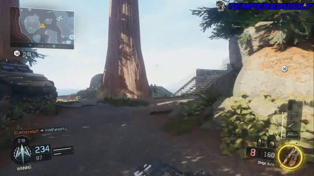 BO3 THE BEST LIGHT MACHINE GUNLMG on Black Ops 3 Destroying wDingo BO3