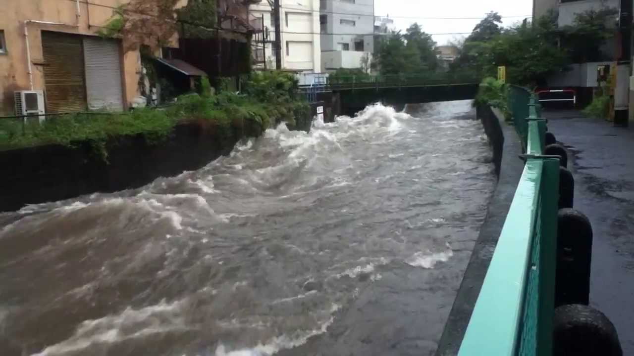 鷺から鷺へ 疱瘡神社 水難 興のおもむくままに