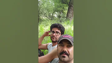 دو چیز هیچ وقت از یاد آدما نمیره دوستای خوب و روزهای خوب 