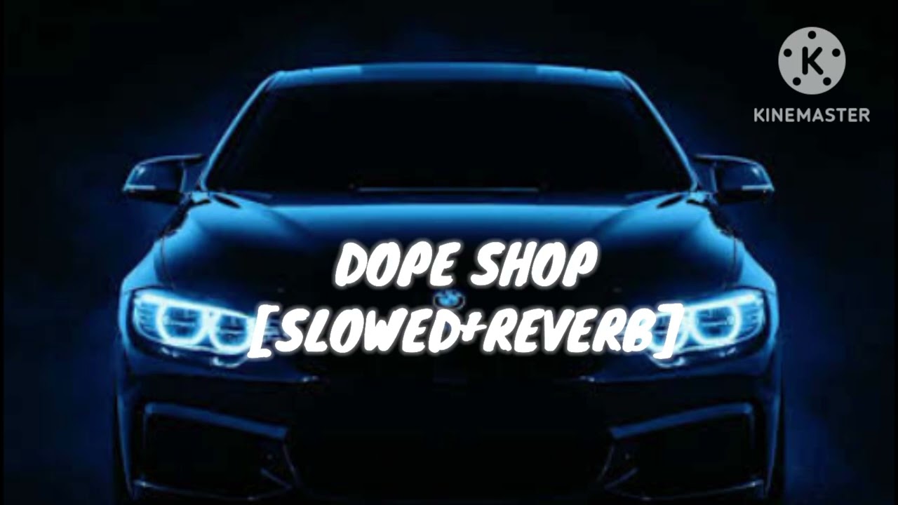 the dope shop 