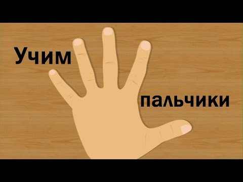 Видео: Как называются пять пальцев?