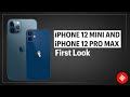 iPhone 12 Mini and iPhone 12 Pro Max first look: Premium experience, guaranteed