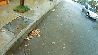Remove Leaves Flow Clogged Culvert Drain While Raining