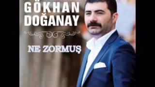 Gökhan Doğanay - Ne Zormuş 2016 Resimi