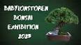 The Enchanting World of Bonsai: A Guide to the Art of Miniature Trees ile ilgili video