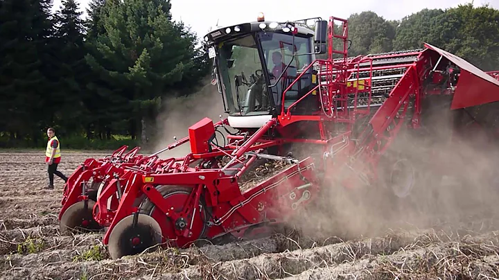 Greatness from Grimme potato machinery