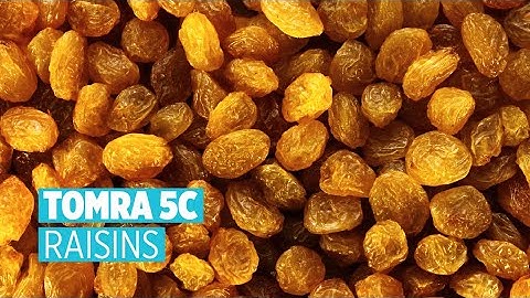 TOMRA 5C - Raisins - Osman Akça
