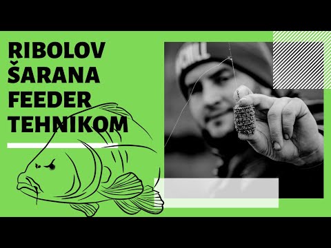 Video: Lov na gljive: pravilna priprema ključ je uspjeha