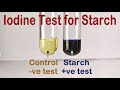 Iodine Test for Polysaccharides Quiz