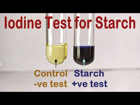 स्टार्च प्रायोगिक प्रयोग के लिए आयोडीन परीक्षण
