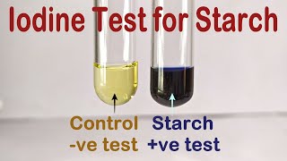 Iodine Test For Starch Practical Experiment