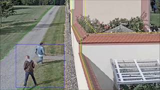 Videosicherheitssystem: intelligentes Analysemodul IPS Outdoor Detection