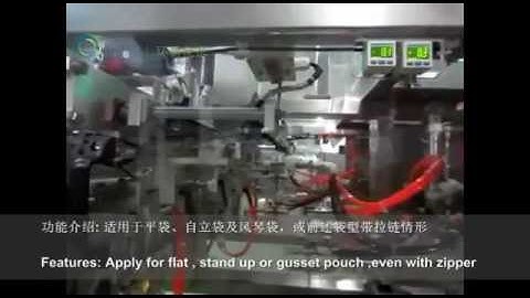 VD116F Linear Type Premade Pouch Packaging Machine + Twins Model