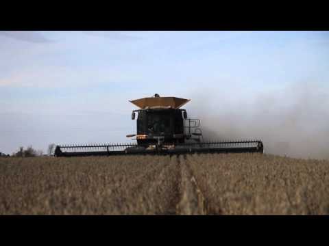 Bruere Farms –