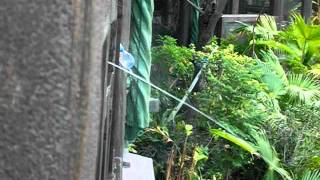 強國人係海洋公園拎口水味水樽去裝水淋人PART1