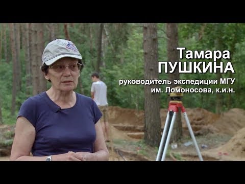 В Гнёздовских курганах обнаружен меч викингов