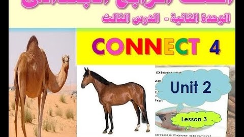 شرح كونكت 4 | للصف الرابع الابتدائي | ترم أول الوحدة الثانية الدرس الثالث | Connect 4 Unit 2 Lesson3