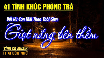 41 Tình Khúc Phòng Trà Hay Nhất 2025 NGHE PHÊ NỔI DA GÀ ➤Nhạc Vàng Xưa Bất Hủ Còn Mãi Theo Thời Gian