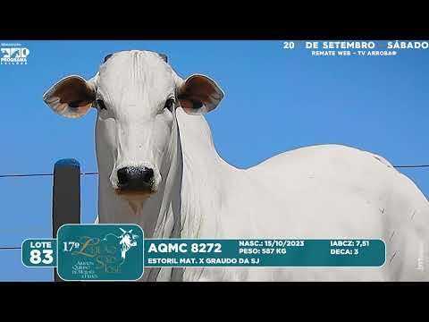 LOTE 83   AQMC 8272