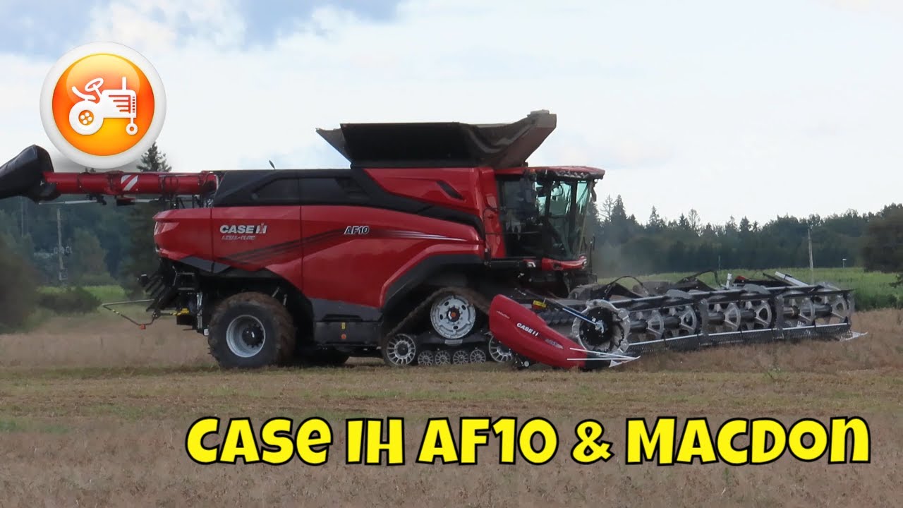 Harvest 2025 | Case IH AF10 combine harvesting peas