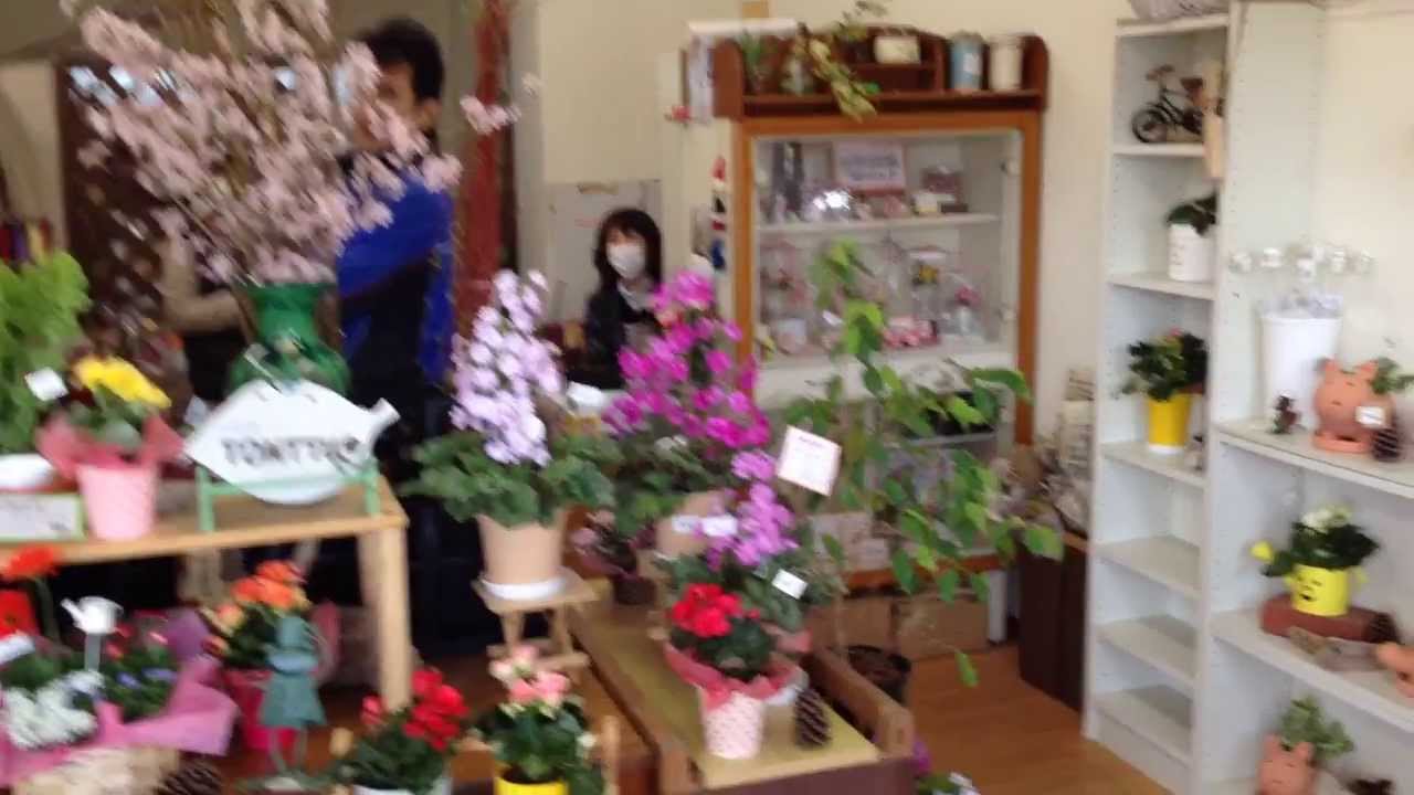 焼津tv お花屋 Tonttu さんでも 和ろはっ ってみました Youtube