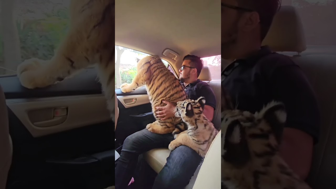 Baat chora krta face pr / Sumit Goswami song