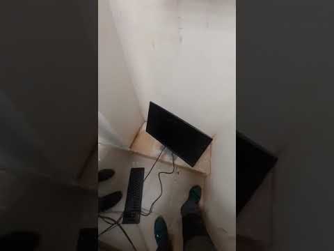 Trassir настройка