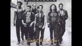 Rhythm Syndicate - I Wanna Make Love To You