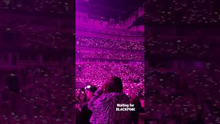 BLINKS at the United Center in Chicago