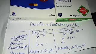 تدريب صيدلي 4 الفرق مبين Amoxicillin and Ampicillin