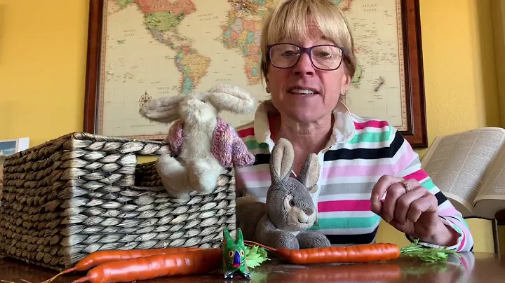 RABBITS - Social Distance Learning with Nano on Tr...