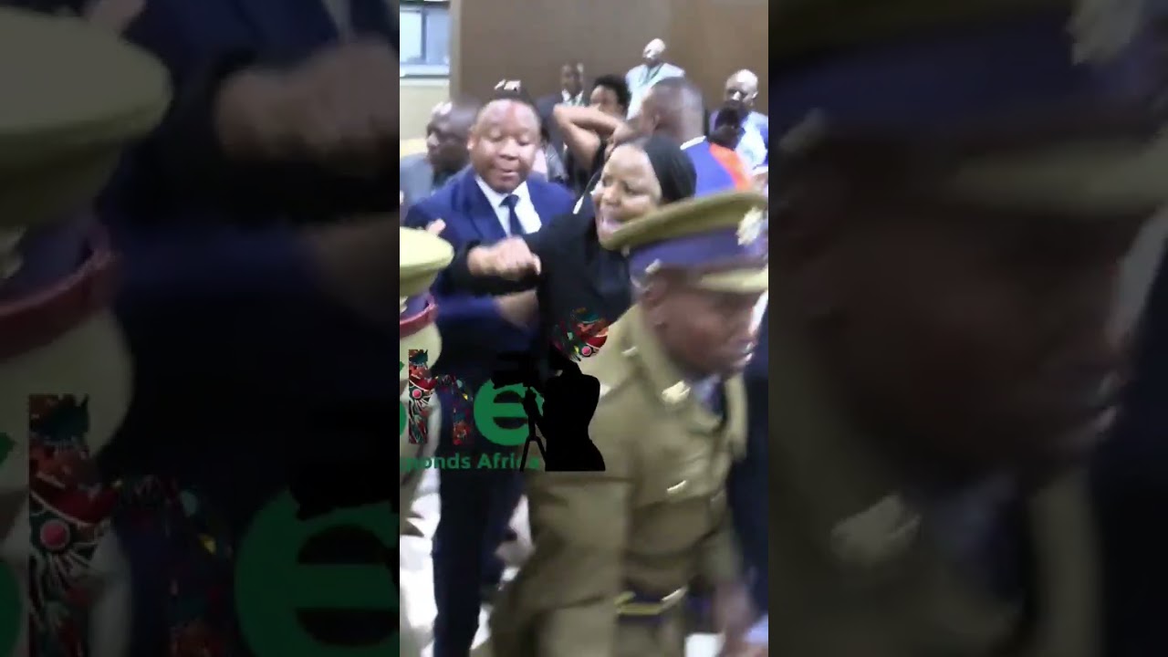 CCC's MP for Mt Pleasant, Fadzai Mahere man handled by police at parliament