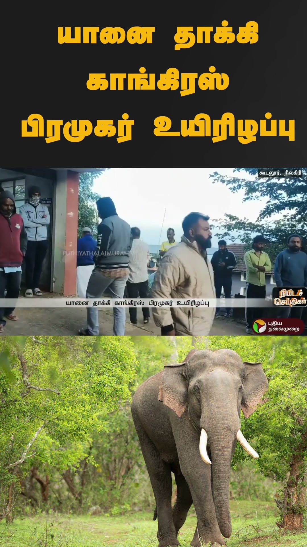 யானை தாக்கி காங்கிரஸ் பிரமுகர் உயிரிழப்பு | #shorts | #congress | #elephant