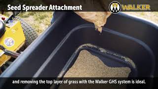 Get a Full Lush Lawn With Over-Seeding