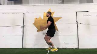 Staggered Stance Hops