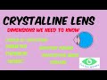 Dimensions of the crystalline lens
