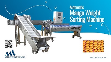 Automatic Mango Weight Sorting Machine