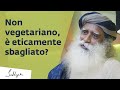 Mangiare non vegetariano è eticamente sbagliato? | Sadhguru Italiano