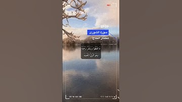 سورة الشورى الاية 27-29