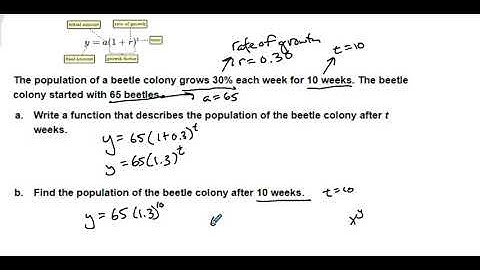 Alg2 Sem 2 Unit 5 Lesson 4 Exponential Growth Applications - Beetle Problem