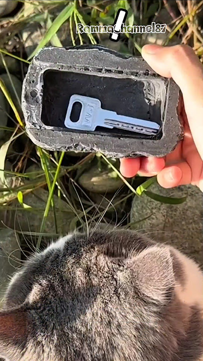 'Miko Temukan Kunci Rahasia di Dalam Batu?! 😱🔑'#shorts#kucing