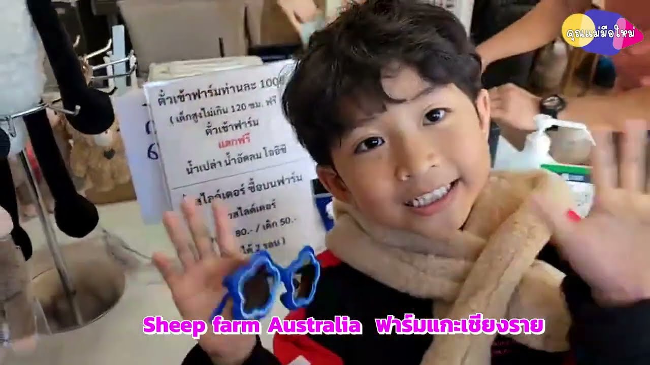 Sheep farm Australiaฟาร์มแกะเชียงราย